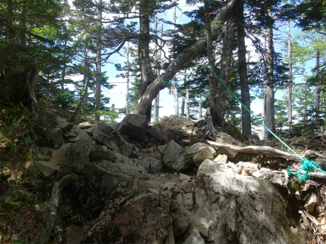 仙丈ヶ岳（北沢峠～小仙丈尾根）登山口コースガイド 尾根【登山口ナビ】