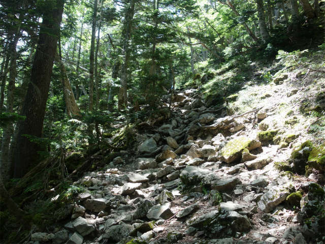 仙丈ヶ岳（北沢峠～小仙丈尾根）登山口コースガイド トラバース急登【登山口ナビ】