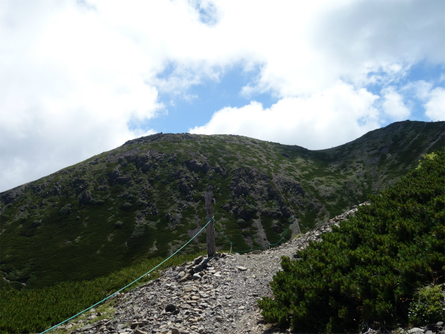 仙丈ヶ岳（地蔵尾根 松峰コース）登山口コースガイド 稜線の分岐【登山口ナビ】