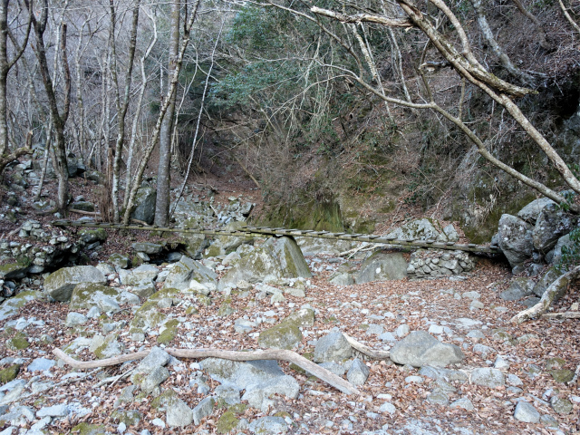 畦ヶ丸(西丹沢ビジターセンター~下棚・本棚) 登山口コースガイド 木橋【登山口ナビ】