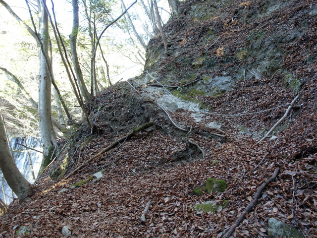 畦ヶ丸(西丹沢ビジターセンター~下棚・本棚) 登山口コースガイド 鎖の高巻き【登山口ナビ】
