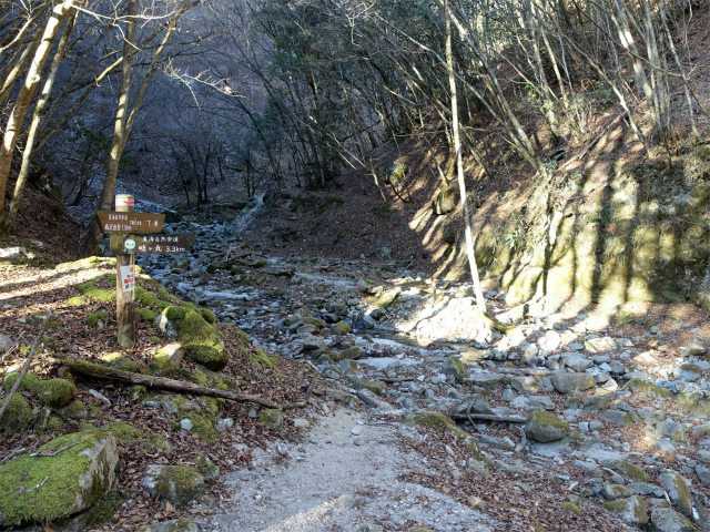 畦ヶ丸(西丹沢ビジターセンター~下棚・本棚) 登山口コースガイド 下棚分岐【登山口ナビ】