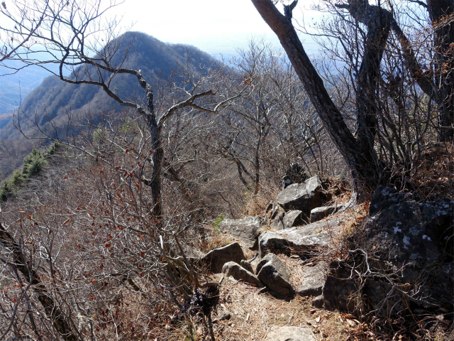 茅ヶ岳（金ヶ岳～千本桜公園） 登山口コースガイド 南峰山頂直下の急坂【登山口ナビ】