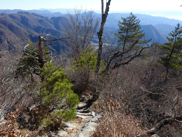 茅ヶ岳（金ヶ岳～千本桜公園） 登山口コースガイド 【登山口ナビ】