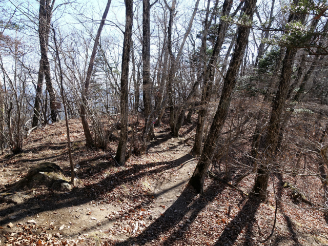 茅ヶ岳（金ヶ岳～千本桜公園） 登山口コースガイド 鞍部【登山口ナビ】