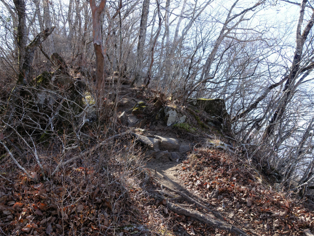 茅ヶ岳（金ヶ岳～千本桜公園） 登山口コースガイド 山頂直下【登山口ナビ】