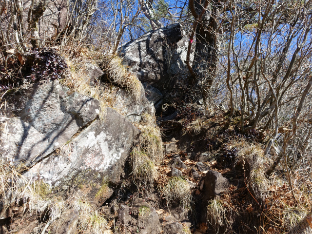 茅ヶ岳（金ヶ岳～千本桜公園） 登山口コースガイド 痩せ尾根【登山口ナビ】