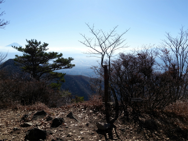 茅ヶ岳（金ヶ岳～千本桜公園） 登山口コースガイド 金ヶ岳山頂【登山口ナビ】