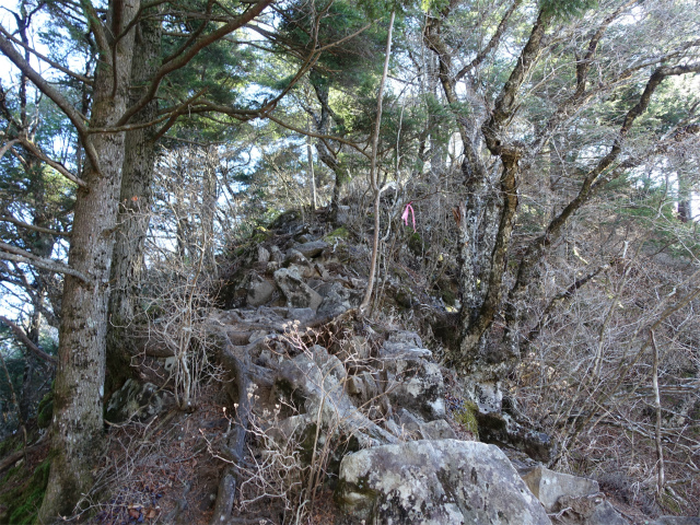 茅ヶ岳（金ヶ岳～千本桜公園） 登山口コースガイド 南北峰鞍部【登山口ナビ】