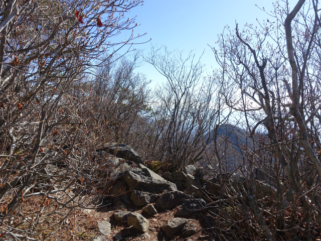 茅ヶ岳（金ヶ岳～千本桜公園） 登山口コースガイド 南峰山頂【登山口ナビ】