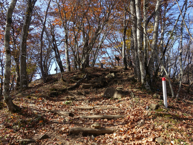 三頭山（ヌカザス尾根）登山口コースガイド 山頂直下の階段【登山口ナビ】