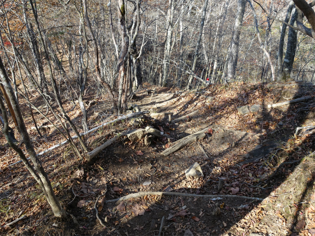 三頭山（サイグチ沢コース）登山口コースガイド 中央峰直下【登山口ナビ】