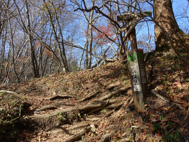 三頭山（サイグチ沢コース）登山口コースガイド【登山口ナビ】