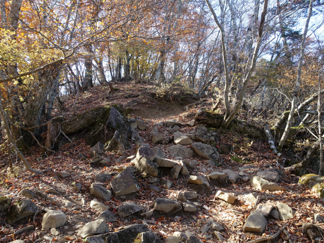 三頭山（サイグチ沢コース）登山口コースガイド 岩の斜面【登山口ナビ】