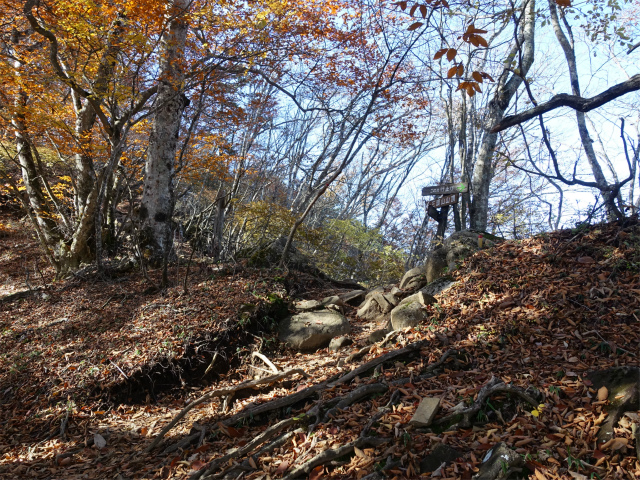 三頭山（サイグチ沢コース）登山口コースガイド 行き止まり【登山口ナビ】