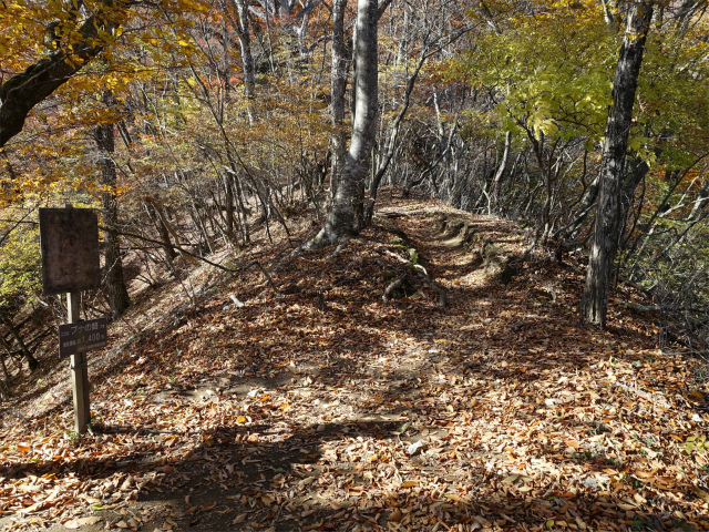 三頭山（サイグチ沢コース）登山口コースガイド ブナの路標高1400m【登山口ナビ】