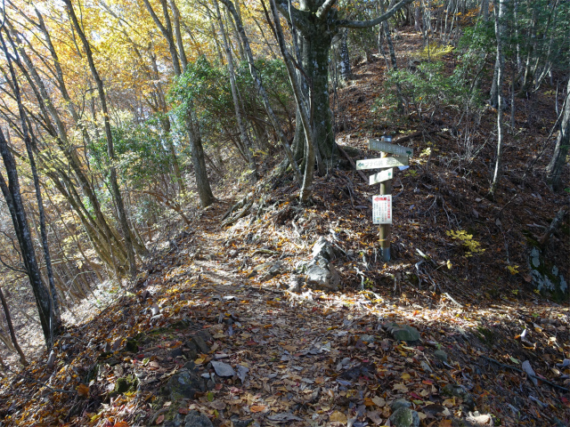 三頭山（サイグチ沢コース）登山口コースガイド 見晴し小屋分岐【登山口ナビ】