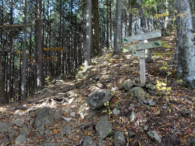 三頭山（サイグチ沢コース）登山口コースガイド 陽光の路分岐【登山口ナビ】