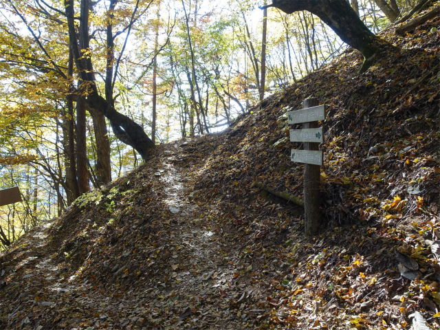 三頭山（サイグチ沢コース）登山口コースガイド 回廊の路連絡道分岐【登山口ナビ】