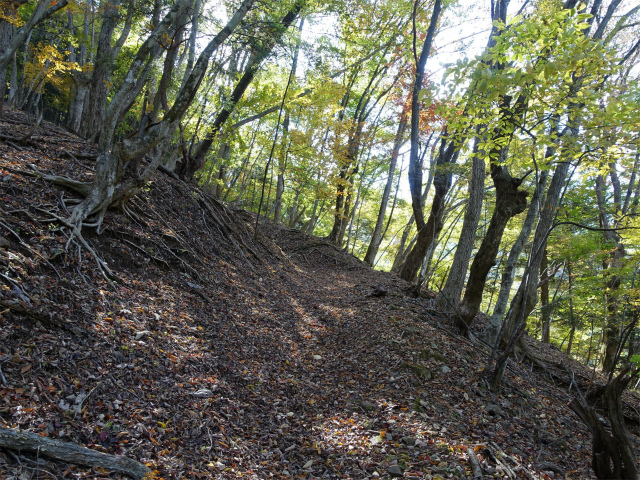 三頭山（サイグチ沢コース）登山口コースガイド 山のふるさと村ネイチャートレイル3【登山口ナビ】