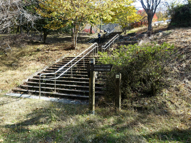 三頭山（サイグチ沢コース）登山口コースガイド 山のふるさと村【登山口ナビ】