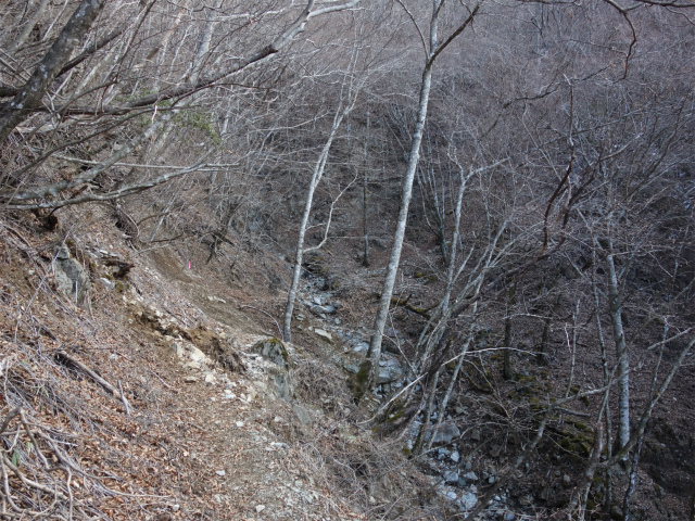 大室山（道志の湯～加入道山）登山口コースガイド 崩落が進む沢の横断地点【登山口ナビ】