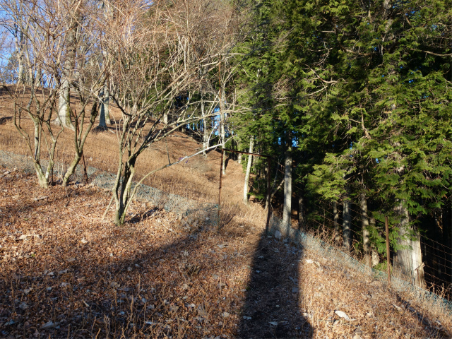 三ノ塔（BOSCO～ヨモギ平）登山口コースガイド ピーク手前の植生保護柵【登山口ナビ】