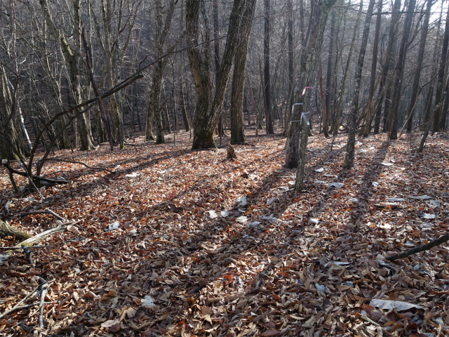 ハマイバ・大蔵高丸（景徳院～曲り沢峠）登山口コースガイド【登山口ナビ】