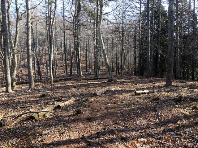 滝子山（道証地蔵～大谷ヶ丸コース）登山口コースガイド アップダウン【登山口ナビ】