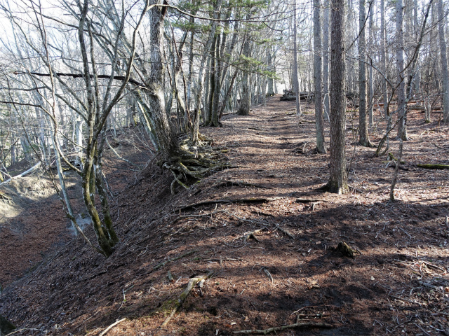 滝子山（道証地蔵～大谷ヶ丸コース）登山口コースガイド 谷筋【登山口ナビ】