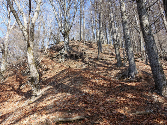 滝子山（道証地蔵～大谷ヶ丸コース）登山口コースガイド 急登【登山口ナビ】