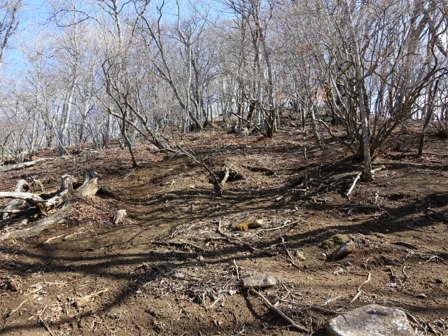 ハマイバ・大蔵高丸（道証地蔵～曲り沢峠）登山口コースガイド 1626mピーク【登山口ナビ】