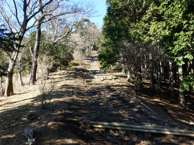 大山（日向～雷ノ峰尾根）登山口コースガイド【登山口ナビ】
