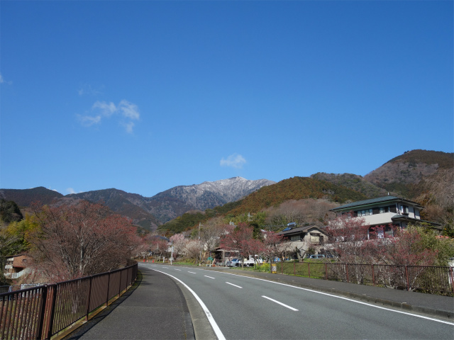 大山(表参道~見晴台周回)登山口コースガイド【登山口ナビ】