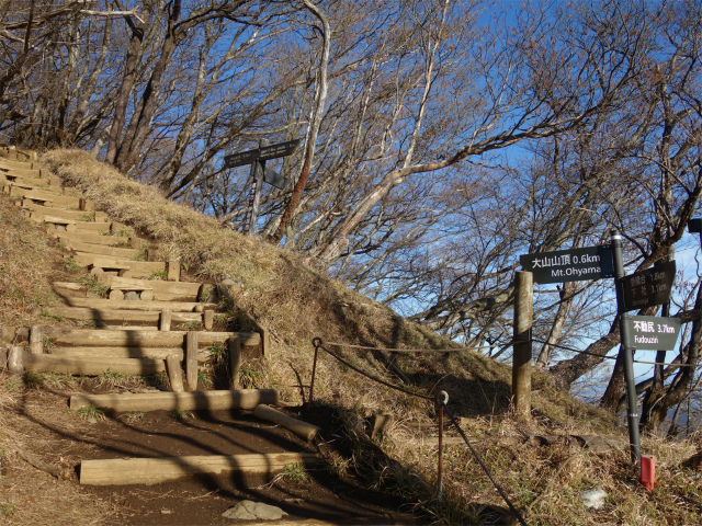 大山（日向～雷ノ峰尾根）登山口コースガイド 唐沢峠分岐【登山口ナビ】