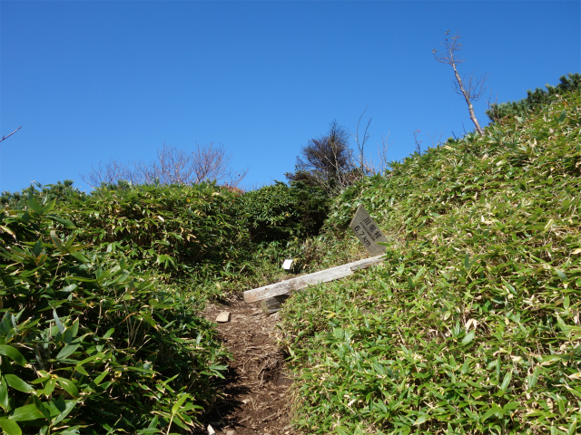 武尊山（不動岳～川場剣ヶ峰）登山口コースガイド 剣ヶ峰山分岐【登山口ナビ】