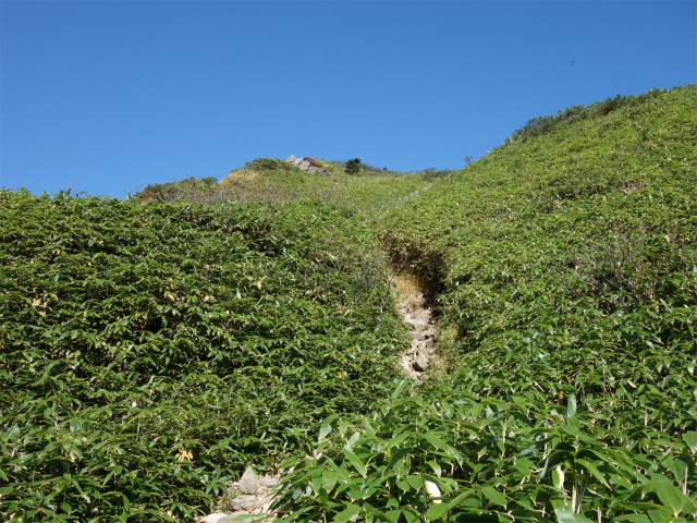 武尊山（不動岳～川場剣ヶ峰）登山口コースガイド 岩【登山口ナビ】