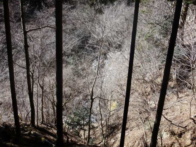大室山（白石峠～加入道山）登山口コースガイド 白石の滝【登山口ナビ】