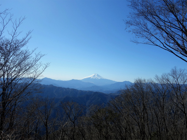 三頭山（大滝～石山～深山の路）大沢山山頂からの富士山【登山口ナビ】