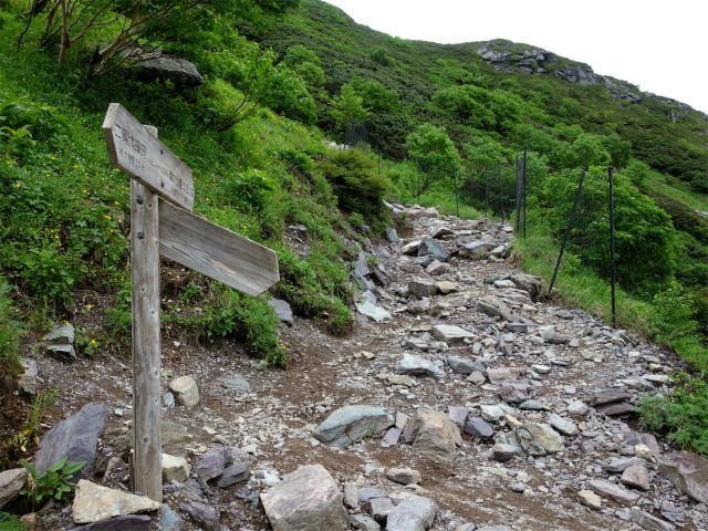 北岳（右俣コース）登山口コースガイド 草スベリコース分岐【登山口ナビ】