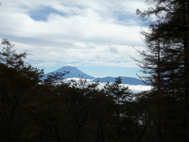 櫛形山（池の茶屋林道口～アヤメ平周回）登山口コースガイド ゲート 鞍部からの富士山の眺望【登山口ナビ】