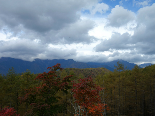 櫛形山（池の茶屋林道口～アヤメ平周回）登山口コースガイド 南アルプスの眺望【登山口ナビ】