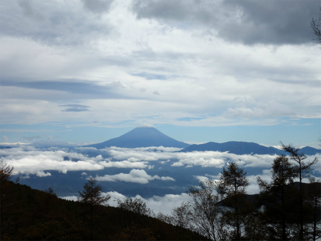 櫛形山（池の茶屋林道口～アヤメ平周回）登山口コースガイド 2003mの肩からの富士山【登山口ナビ】