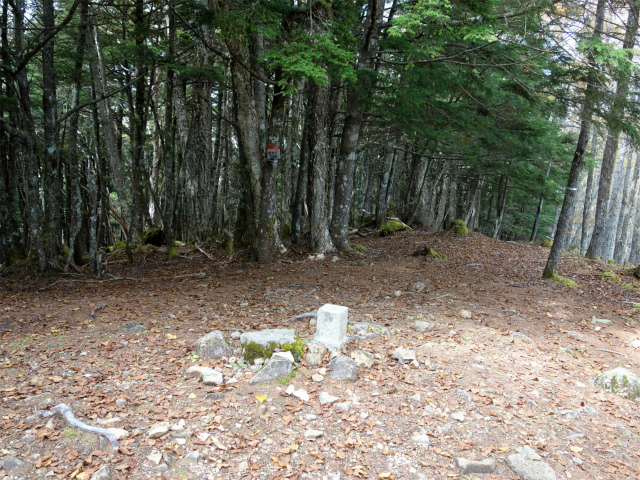 櫛形山（池の茶屋林道口～アヤメ平周回）登山口コースガイド 奥仙重山頂【登山口ナビ】