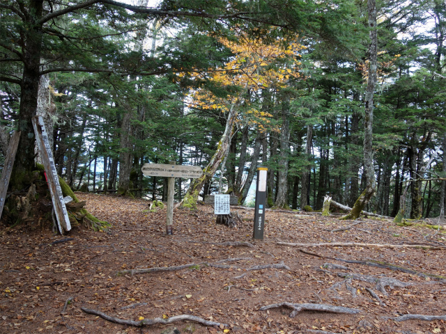 櫛形山（池の茶屋林道口～アヤメ平周回）登山口コースガイド 櫛形山山頂標のピーク【登山口ナビ】