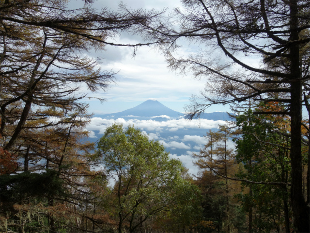 櫛形山（池の茶屋林道口～アヤメ平周回）登山口コースガイド 櫛形山山頂標のピークからの富士山【登山口ナビ】