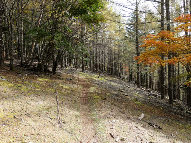 櫛形山（池の茶屋林道口～アヤメ平周回）登山口コースガイド【登山口ナビ】