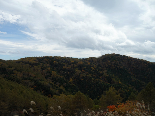 櫛形山（池の茶屋林道口～アヤメ平周回）登山口コースガイド 裸山山頂からの奥仙重の眺望【登山口ナビ】