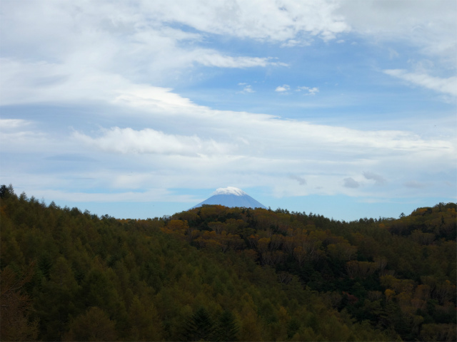 櫛形山（池の茶屋林道口～アヤメ平周回）登山口コースガイド 裸山山頂から富士山の眺望【登山口ナビ】