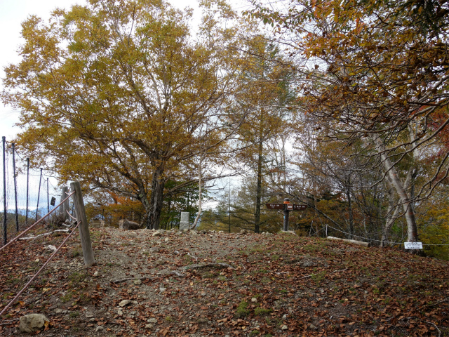 櫛形山（池の茶屋林道口～アヤメ平周回）登山口コースガイド 裸山山頂【登山口ナビ】